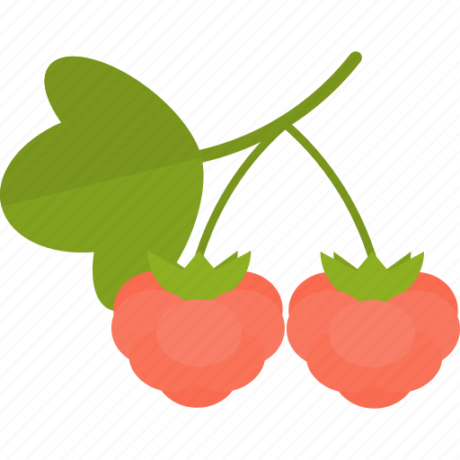 Food, groats, raspberry, seeds icon - Download on Iconfinder