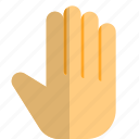 hand, palm