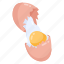cracked egg, raw egg, broken egg, poultry, protein food 