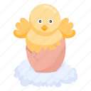 egg hatch, hatching chick, chicken egg, poultry, hatching