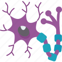 neuron, brain, cell, synapse, nerve