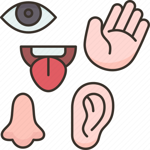 Five, senses, sensory, perception, receives icon - Download on Iconfinder