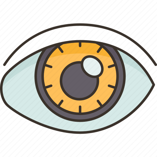 Sight, vision, perspective, view, observation icon - Download on Iconfinder