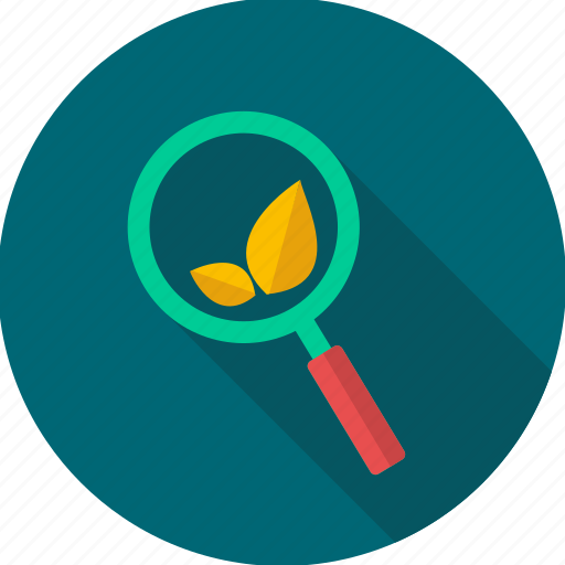 Eco, search, seo, ecology, leaf, magnifier, optimization icon - Download on Iconfinder
