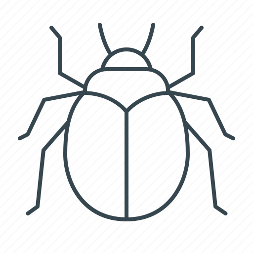 Bug, beetle, insect, spider, virus icon - Download on Iconfinder
