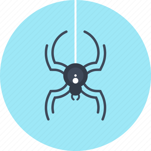 Antivirus, bug, fixing, protection, security, spider, virus icon - Download on Iconfinder