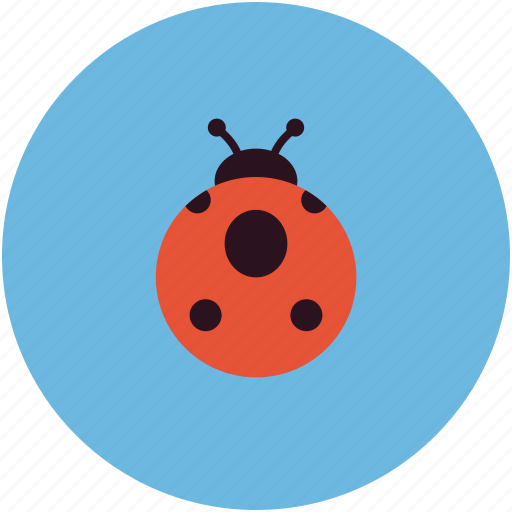 Ladybug, bug, ladybird, virus icon - Download on Iconfinder