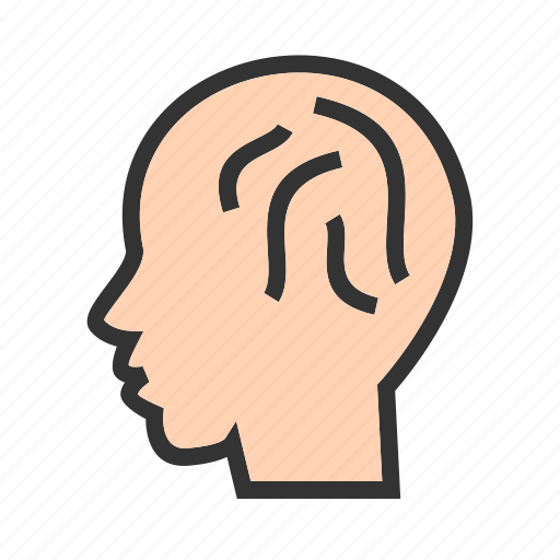 Brain, brainstorming, human, internet, knowledge, skills, thoughts icon - Download on Iconfinder