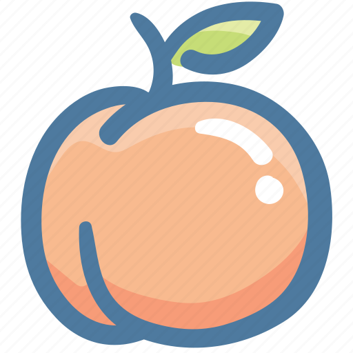 Food, fruit, healthy, organic, peach icon - Download on Iconfinder