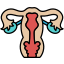 uterus, anatomy, reproductive, ovary, health, female, vagina, medicine, human 