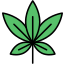 cannabis store, dealer, medical, cannabis, marijuana, weed, herb, medicine, leaf 