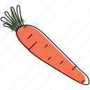 carrot, food, vegetable, organic, fresh, root