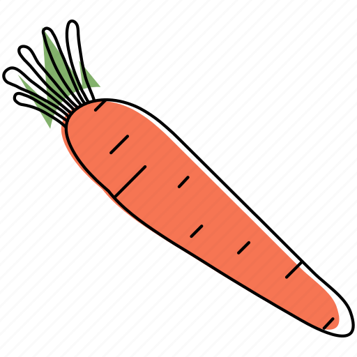 Carrot, food, vegetable, organic, fresh, root icon - Download on Iconfinder