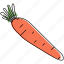 carrot, food, vegetable, organic, fresh, root 