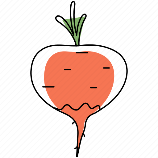 Radish, turnip, vegetable, organic, food icon - Download on Iconfinder