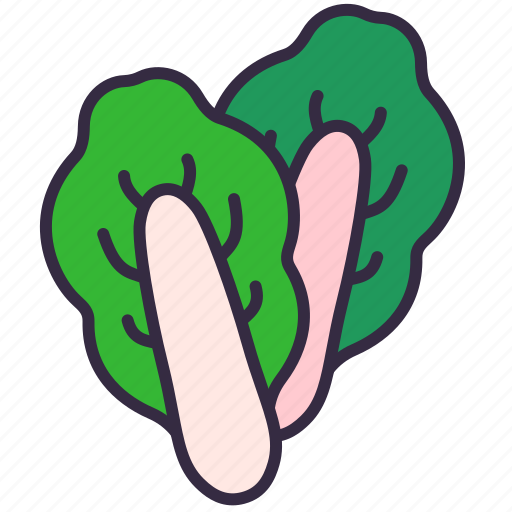 Lettuce, cabbage, food, sukiyaki, restaurant, cook, vegetable icon - Download on Iconfinder