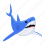 prionace glauca, blue shark, shark fish, sea creature, aquatic animal 