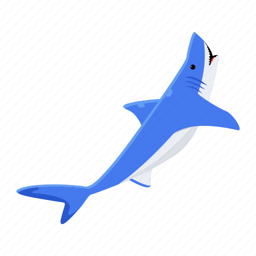 Prionace glauca, blue shark, shark fish, elasmobranch fish, sea creature icon - Download on Iconfinder