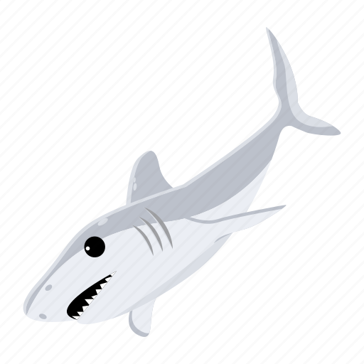 Carcharodon carcharias, white shark, shark fish, sea creature, aquatic animal icon - Download on Iconfinder