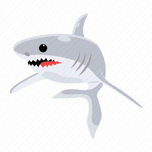 Carcharodon carcharias, white shark, shark fish, sea creature, aquatic animal icon - Download on Iconfinder