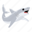 carcharodon carcharias, white shark, shark fish, sea creature, aquatic animal 