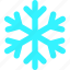 snow, forecast, snowflake, winter, flake, weather, christmas 
