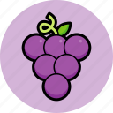 grape, fresh, fruit, healthy, fruits, berry, grapes, food, organic