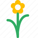 flower, grass, green, nature, park, plant, weed