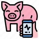 analysis, animal, data, farm, pig, smart 