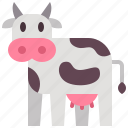 cow, animal, smart farm, farming, agriculture, technology