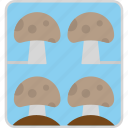 mushroom, farming, forest, garden, nature, plant