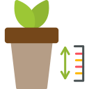 plant, growth, chart, analytics, investment, plants