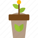 plant, grow, growing, growth, nature, new, startup