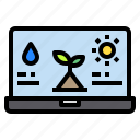 laptop, plants, sun, water