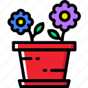 flower, garden, plant, pot, soil 