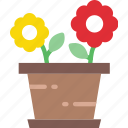 flower, garden, plant, pot, soil