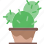 cactus, flower, garden, plant, soil 