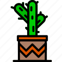 cactus, flower, garden, plant, soil