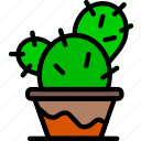 cactus, flower, garden, plant, soil