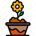 flower, garden, plant, pot, soil