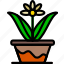 flower, garden, plant, pot, soil 