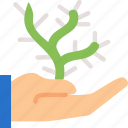 cactus, finger, gesture, give, hand, interaction 