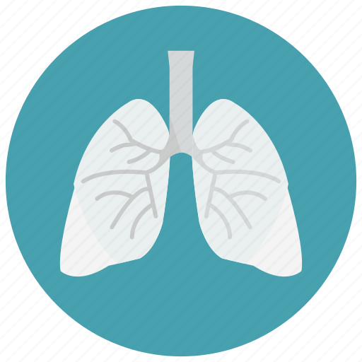 Biology, health, lungs, organ, smoking icon - Download on Iconfinder