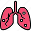 damage, lungs, organ, smoke 