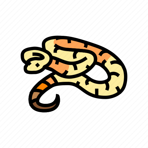 Boa, constrictor, animal, snake, serpent, viper icon - Download on Iconfinder