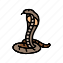 cobra, animal, snake, serpent, viper, python
