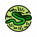 snake, terrarium, animal, serpent, viper, cobra
