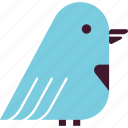bird, media, social, speech, tweet, twitter