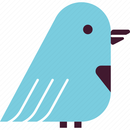 Bird Media Social Speech Tweet Twitter Icon Download On Iconfinder