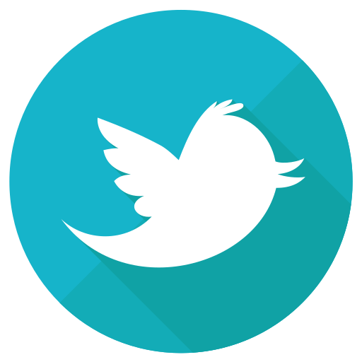 Bird, logo, media, network, social, tweet icon - Free download